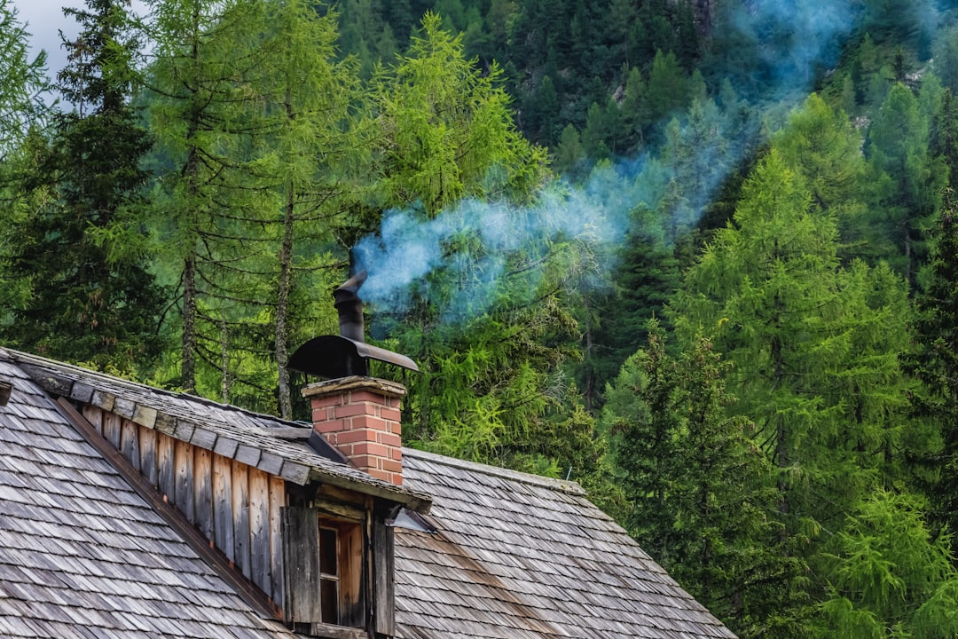 Chimney Repair in Bellevue