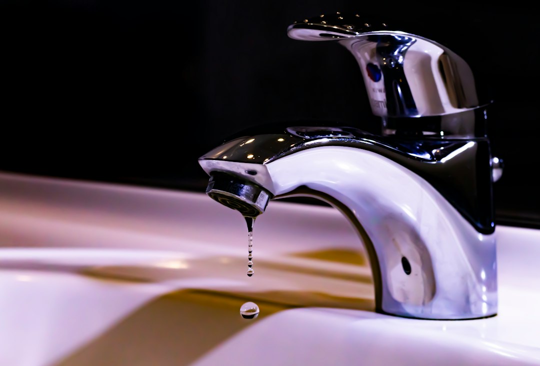 Faucet Leak Repair in Bellevue