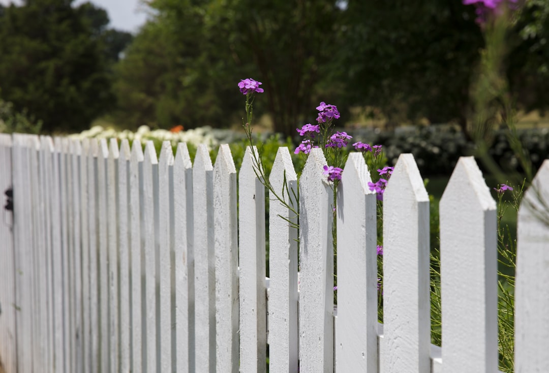 Fence Repair in Bellevue