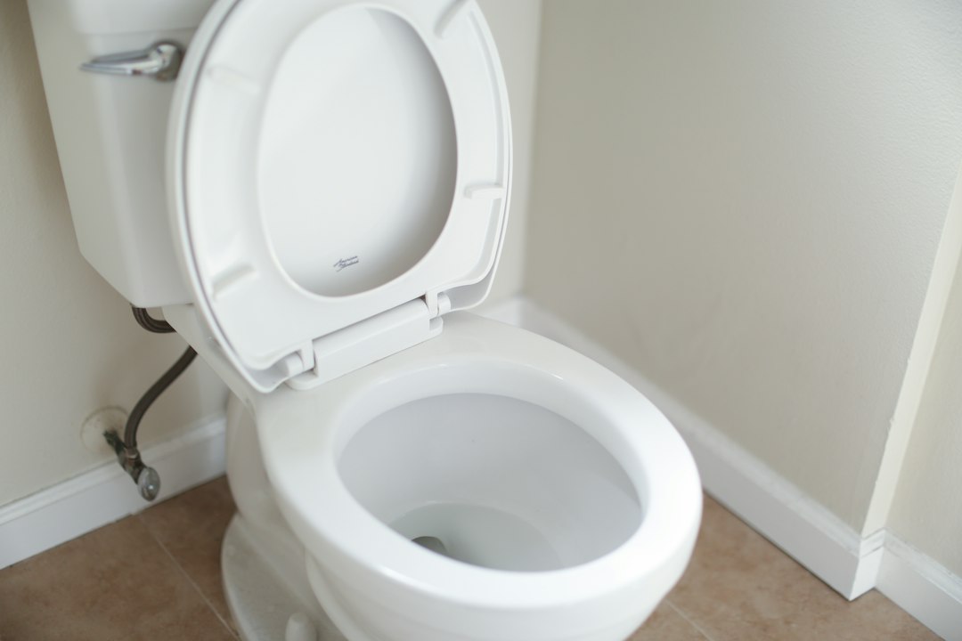 Toilet Leak Repair in Bellevue